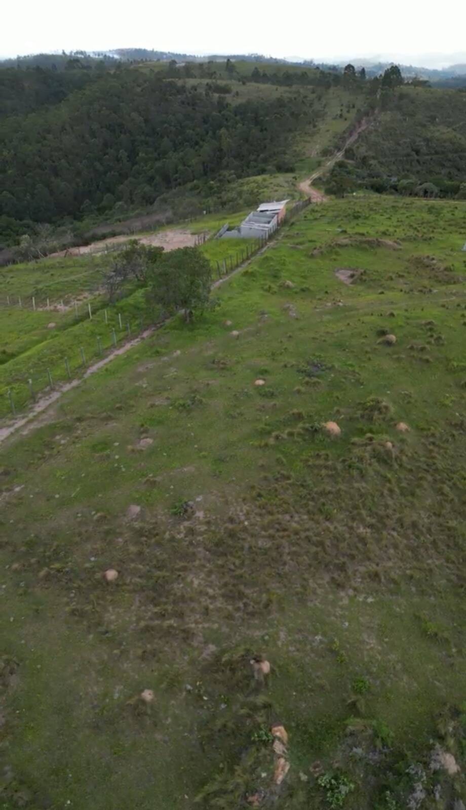 Terreno, 14 hectares - Foto 15