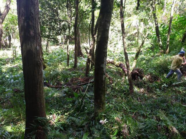 Prédio Inteiro, 10000 m² - Foto 3