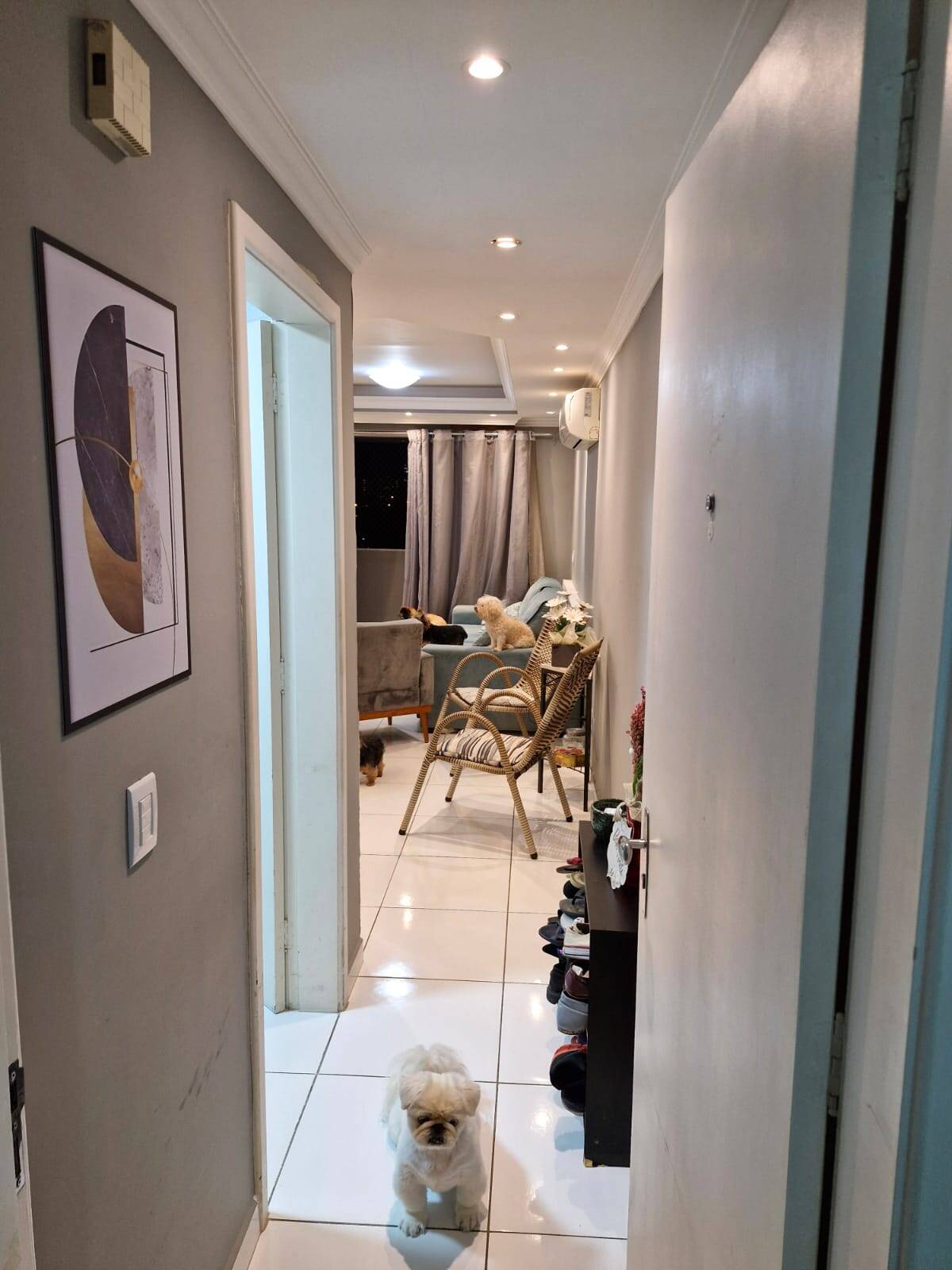 Apartamento, 3 quartos, 100 m² - Foto 5