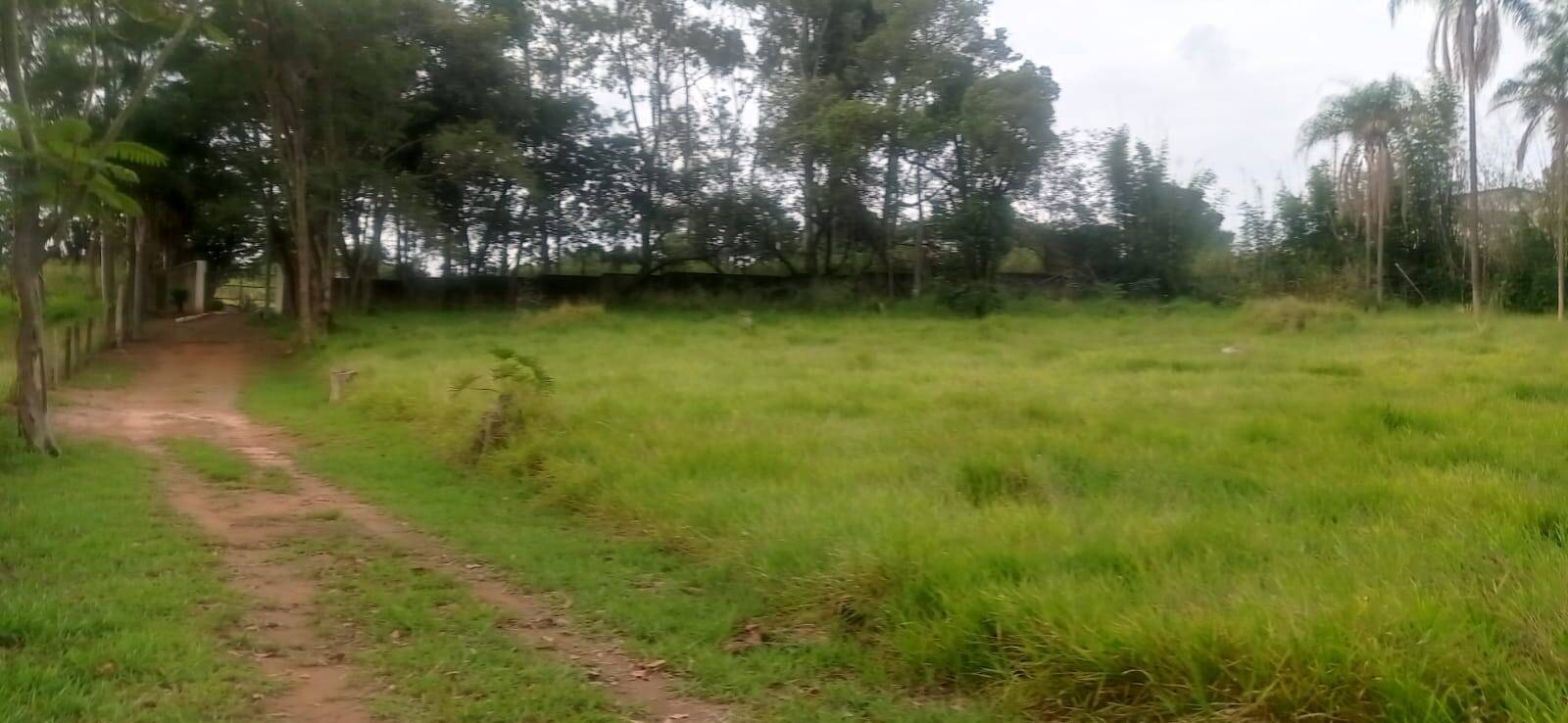 Terreno, 7 hectares - Foto 11