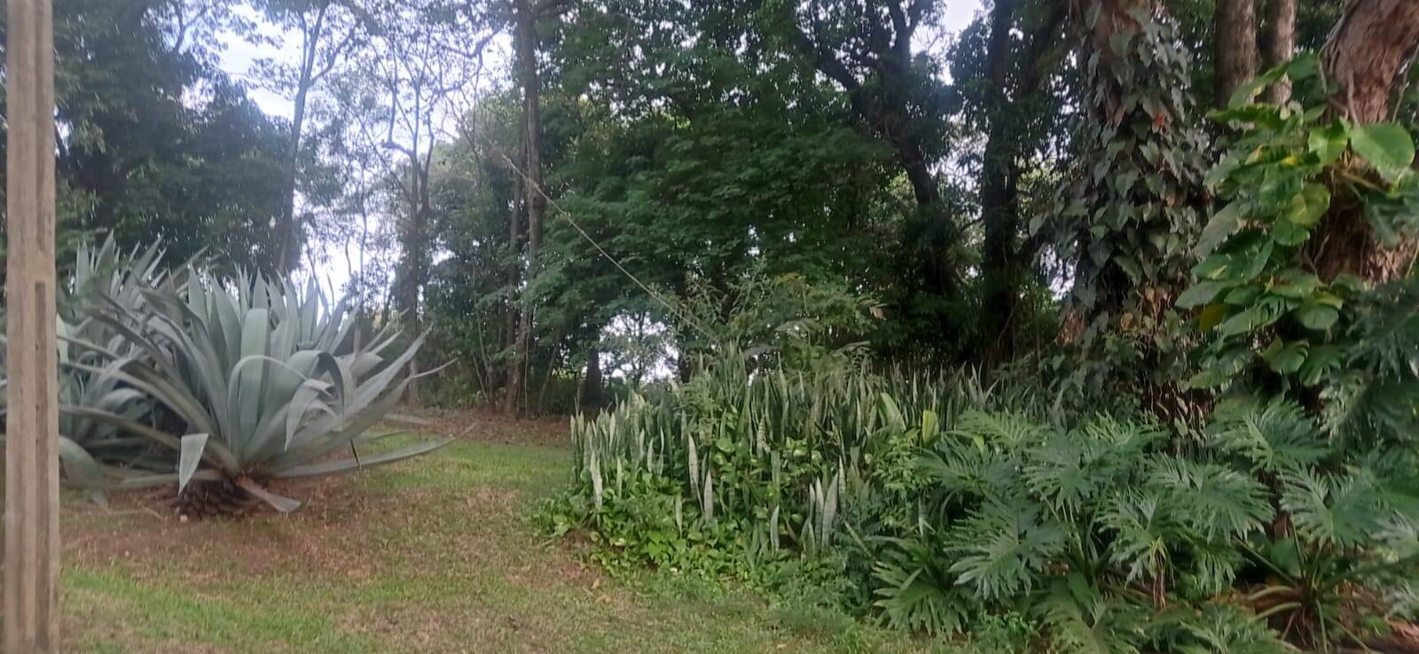 Terreno, 7 hectares - Foto 13