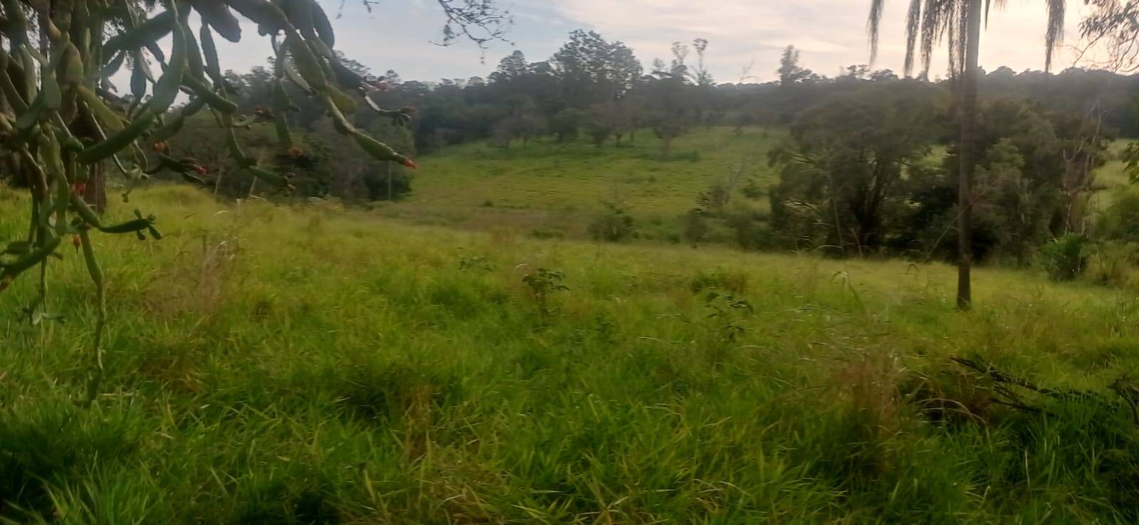 Terreno, 7 hectares - Foto 14