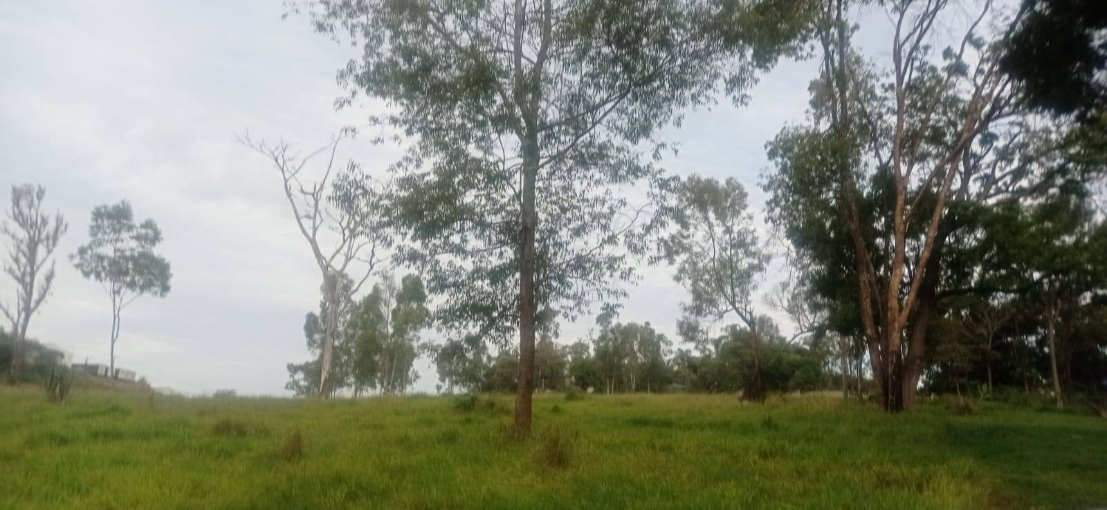 Terreno, 7 hectares - Foto 15