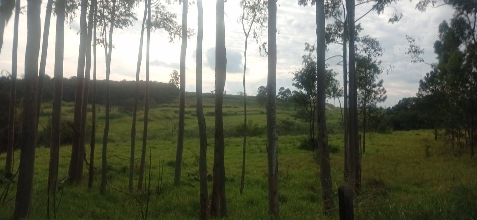 Terreno, 7 hectares - Foto 17