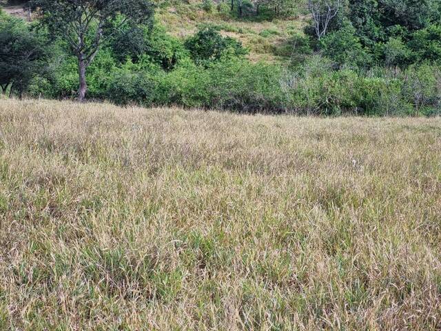 Terreno, 2 hectares - Foto 1