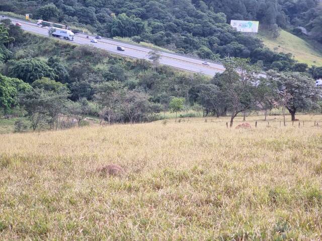 Terreno, 2 hectares - Foto 4