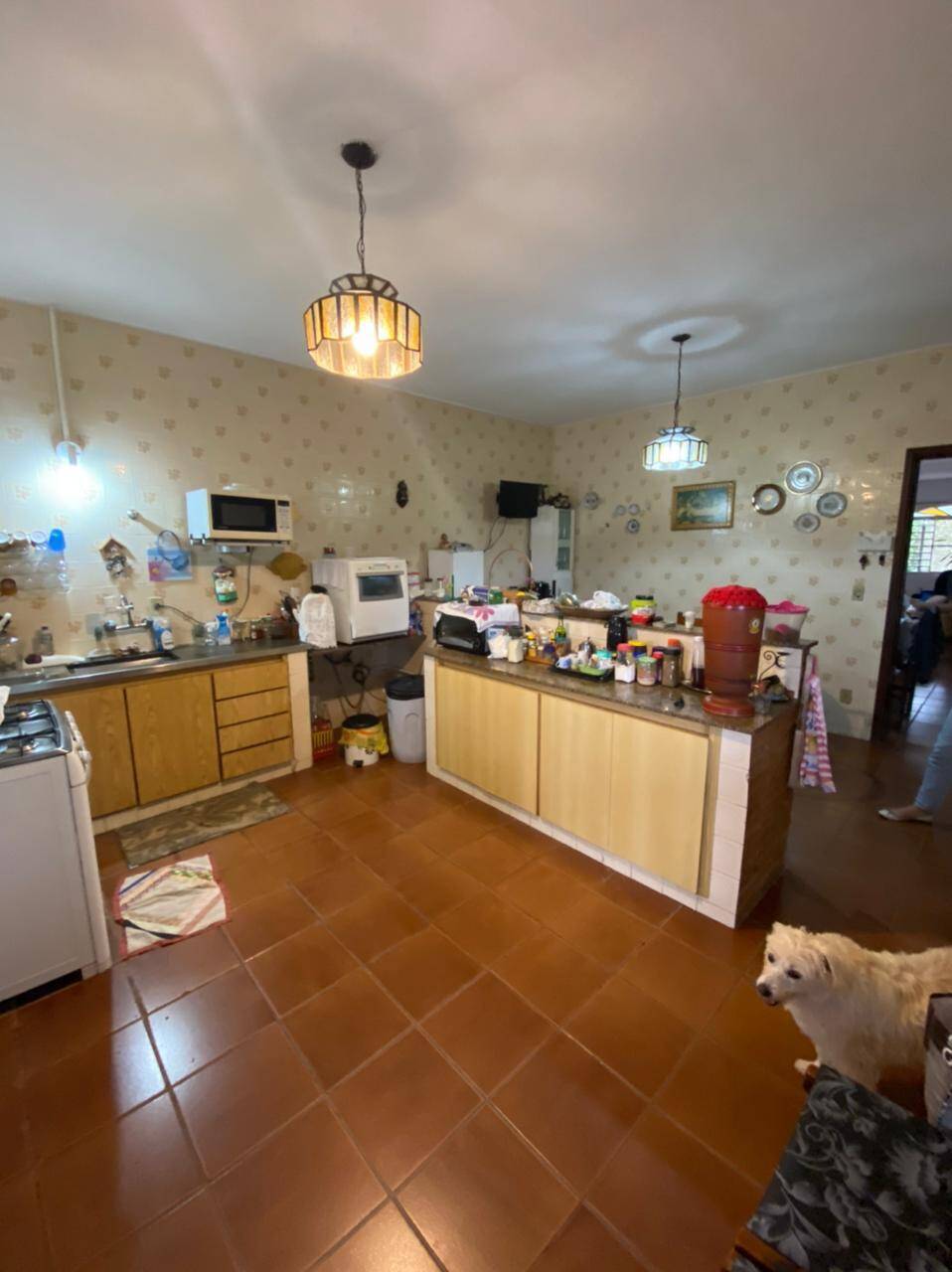 Chácara à venda com 4 quartos, 412m² - Foto 4