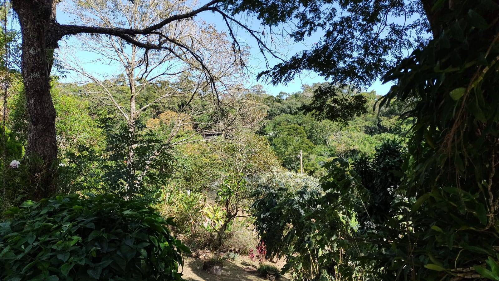 Chácara à venda com 4 quartos, 412m² - Foto 27