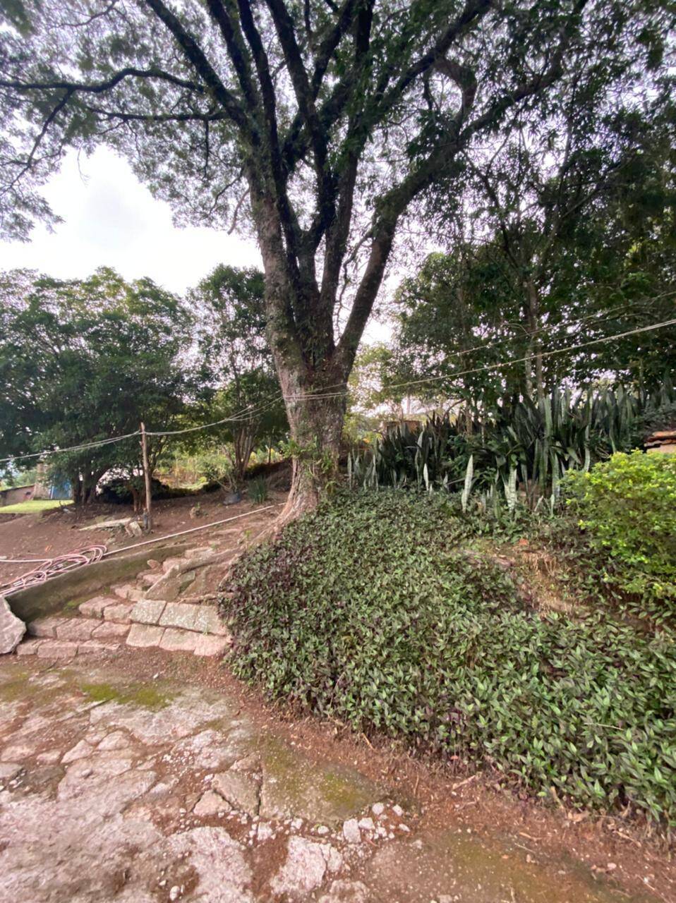 Chácara à venda com 4 quartos, 412m² - Foto 31