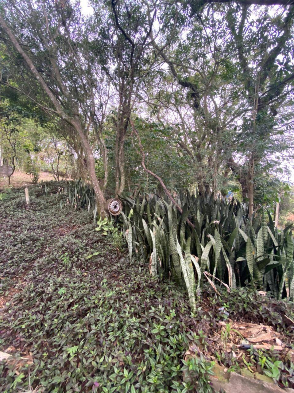 Chácara à venda com 4 quartos, 412m² - Foto 32