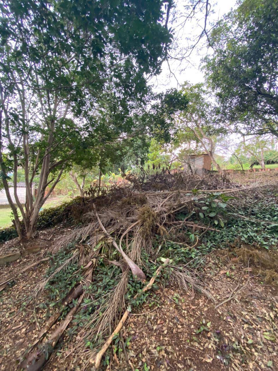 Chácara à venda com 4 quartos, 412m² - Foto 33