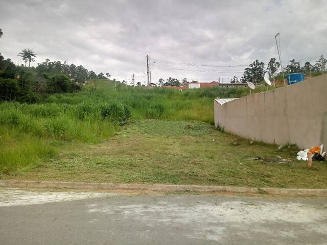 Terreno, 250 m² - Foto 1