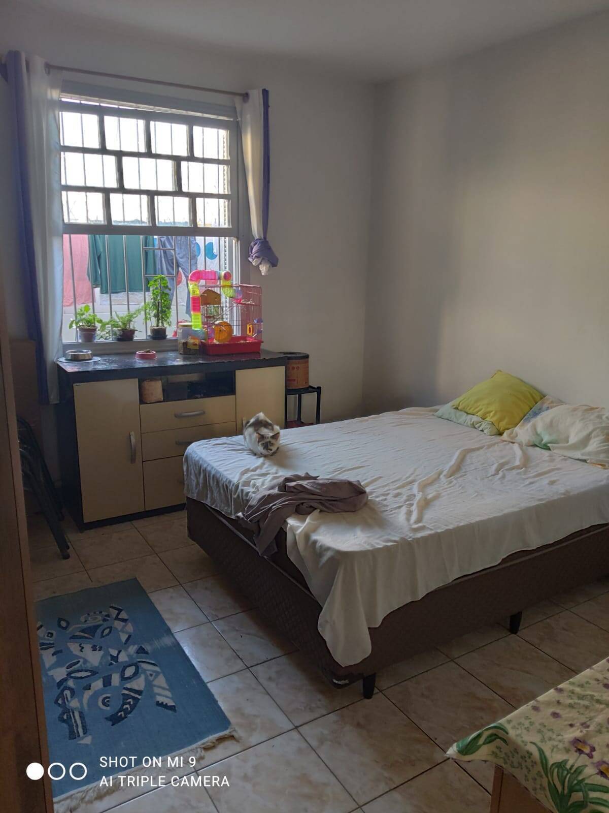 Casa, 4 quartos, 168 m² - Foto 19