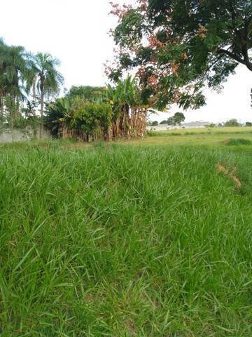 Prédio Inteiro, 30791 m² - Foto 2