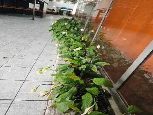 Galpão para Venda em Jundiaí - 5