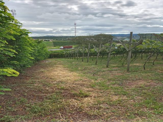 Área para Incorporação para Venda em Jundiaí - 4